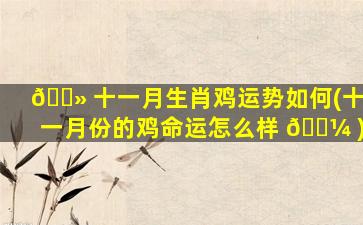 🌻 十一月生肖鸡运势如何(十一月份的鸡命运怎么样 🌼 )